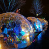 Aura Dome Globe Lights create ambient lighting at night